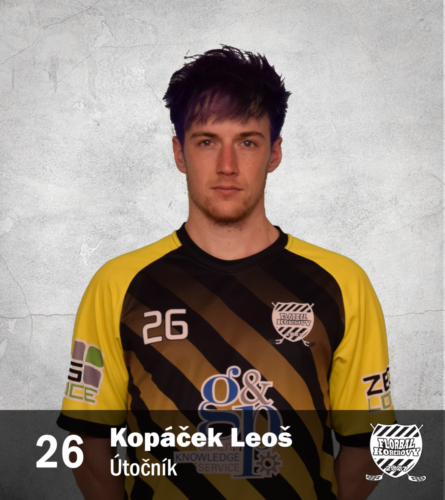 26 leo kopacek